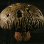 shroom071