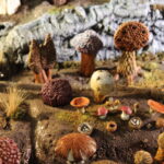 Mushrooms & Mushroom Scatter Bases